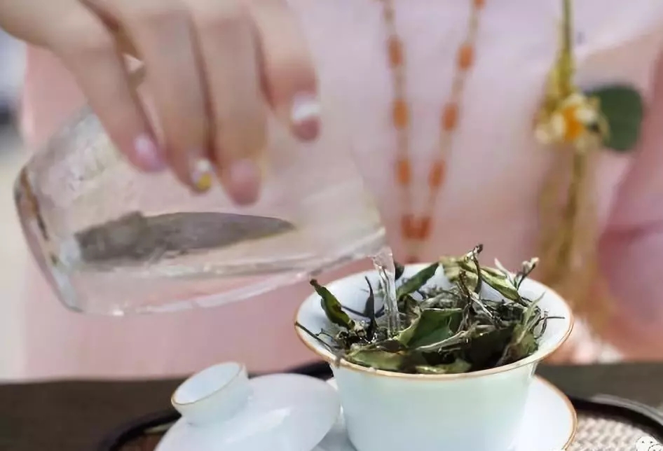 白茶冲泡方法