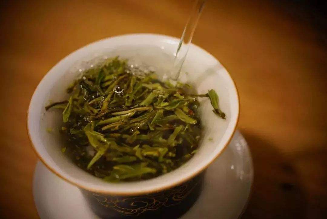怎么泡白茶